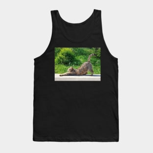 Stretching Cat Tank Top